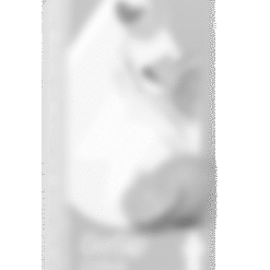 Alternative view of GoSip Citrus Tango